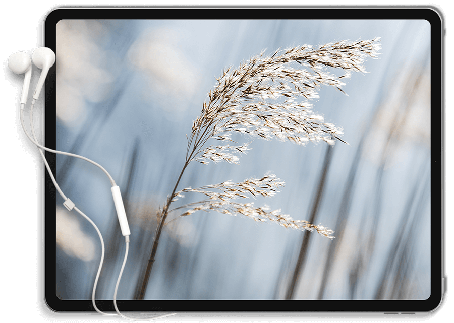 https://inner-peace.health/wp-content/uploads/2022/01/Tablet.png